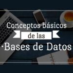 conceptos básicos de base de datos